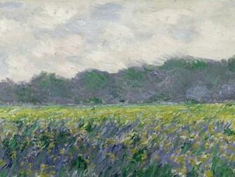 Fields Giverny Claude Monet Irises Impressionism Wallpaper