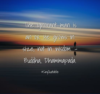 Quotes About The Ignorant Man Is An Ox He Grows In Size Not