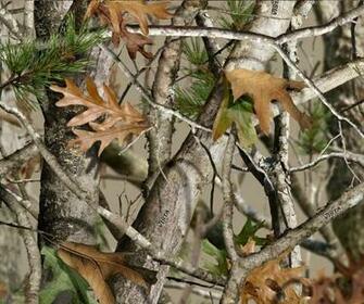 Duck Hunting Camo Background Dipping Guns Hydrographic