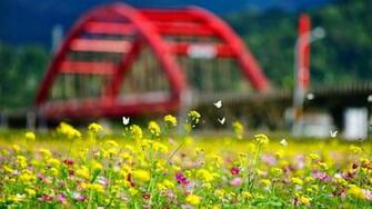 For Get Summer Flowers Wallpaper And Make This