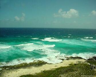 Best Cozumel Wallpaper Reefs