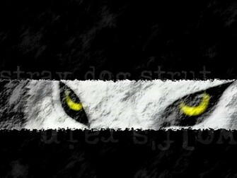 Wolf S Rain Image Kiba Eyes HD Wallpaper And Background