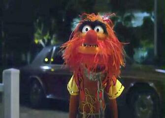 Home Animal Muppets Wallpaper