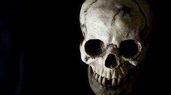 Skeleton Wallpaper HD