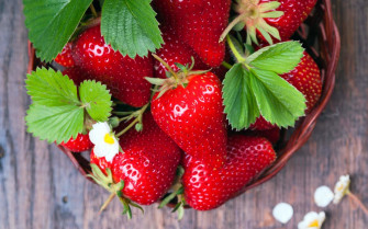 Strawberry Wallpaper