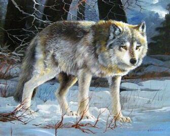 Grey Wolf Wallpaper HD Desktopinhq Net