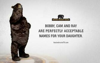 Boston Bruins Fans