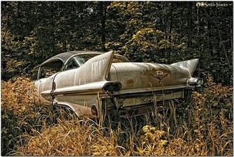 Abandoned Cars And Trucks Photo Pictures