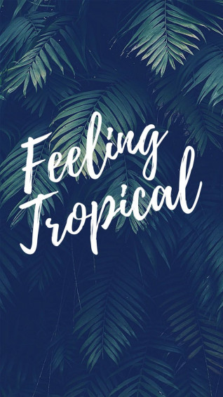 Summer Lovin Quotes iPhone Wallpaper Collection Preppy