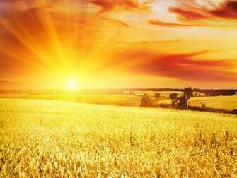Sunlight HD Wallpaper This