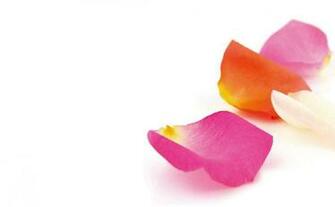 Faydani Beauty Salon Morpeth For Your
