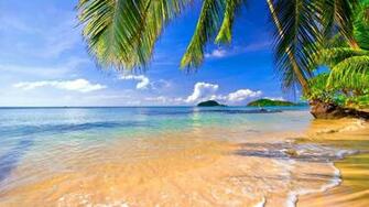 Tropical Background Wallpaper Win10 Themes