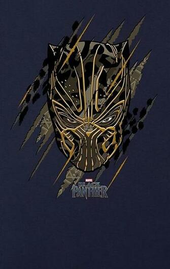 Gorgeous New Black Panther Posters Tease T Challa S
