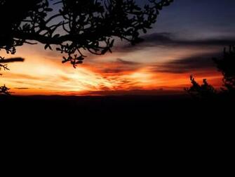 Archery Hunting Wallpaper Utah Elk Hunt