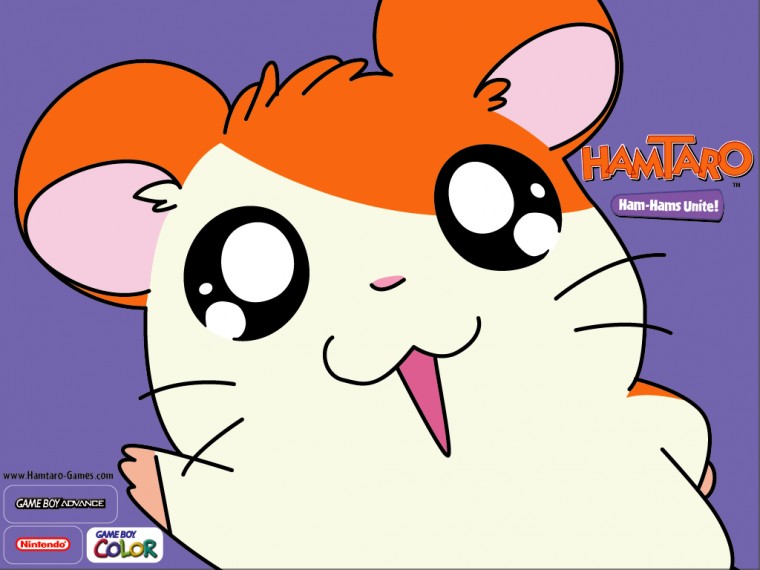 Hamtaro Wallpaper