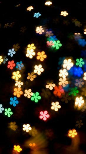 Light Flowers Color iPhone Wallpaper HD And 1080p Plus
