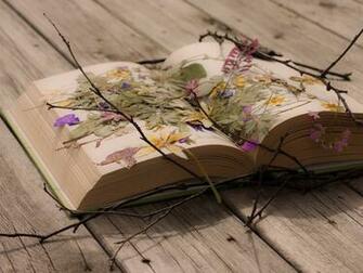 Beautiful Book Wallpaper Desktop Wallpaperlepi