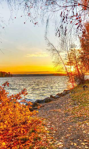 Elegant Windows Phone Autumn Wallpaper All About Natural Beauty