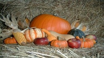 Happy Thanksgiving Background Wallpaper HD Background