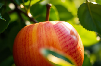 Apple Retina 5k Wallpaper