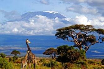 Mount Kilimanjaro Wallpaper X Net