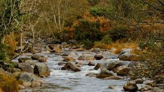 Things To Do In Wicklow