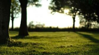 Pictures Of Blurred Nature Background Kidskunst Info