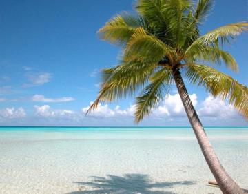 One Of Our Favorite Green Screen Background Beach Sunset