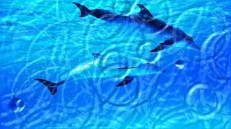 Watery Desktop 3d Animated Wallpaper Screensaver