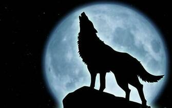 Howling Wolf Wallpaper Jigsaw Projects In