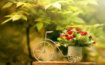 Flowers Full HD Wallpaper