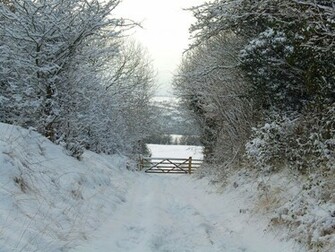 Winter Scenes Wallpaper HD