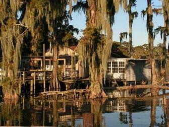 Bayou Shack By Stevenwaynesmith
