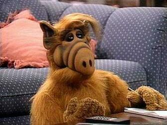 Alf Image Salon Fauteuil HD Wallpaper And Background