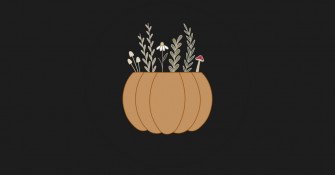Shipping Hello Pumpkin
