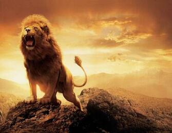 Aslan Wallpaper Background HD Desktop