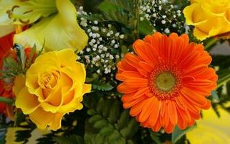 Beautiful Flowers Gardens Bouquet Garden Widescreen