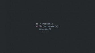 Funny Coding Wallpaper