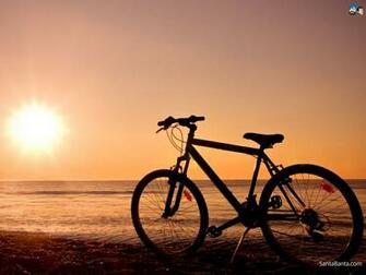 Bicycles Wallpaper