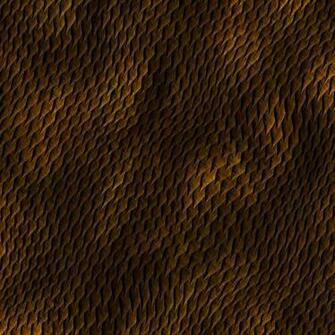 Skin Reptile Lizard Snakes Frog Snake Background