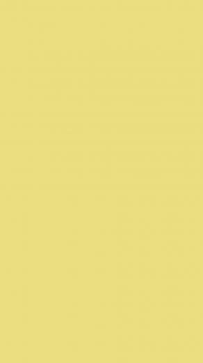 Flax Solid Color Background