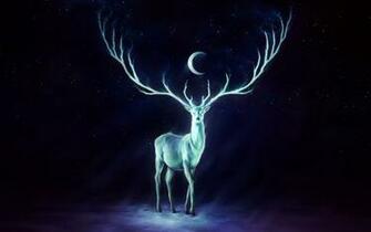 Night Watcher Computer Wallpaper Desktop Background