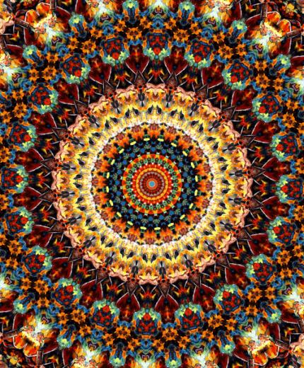 Trippy Hippie World