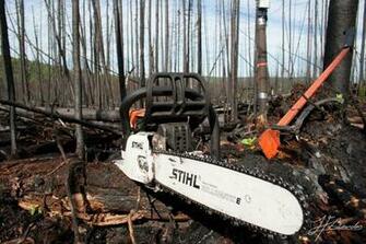 Stihl Ms260 By Vandal Nain