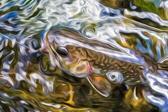 Orvis Fly Fishing Wallpaper