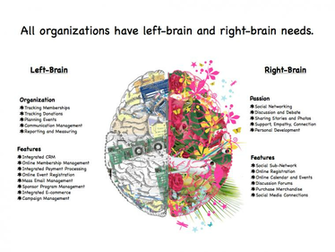 Left Brain Right Wallpaper