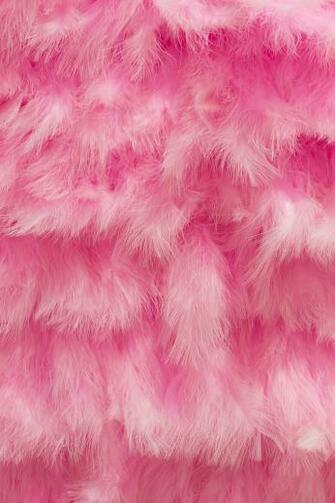 Bespoke Feathers Tracy Kendall Wallpaper