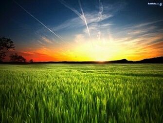 Nature Mother Wallpaper