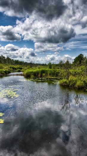 Nature Wallpaper For iPhone Plus