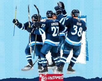 Wallpaper Manitoba Moose